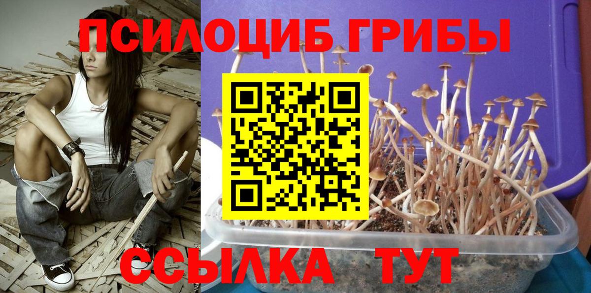 Галлюциногенные грибы мухоморы Киров