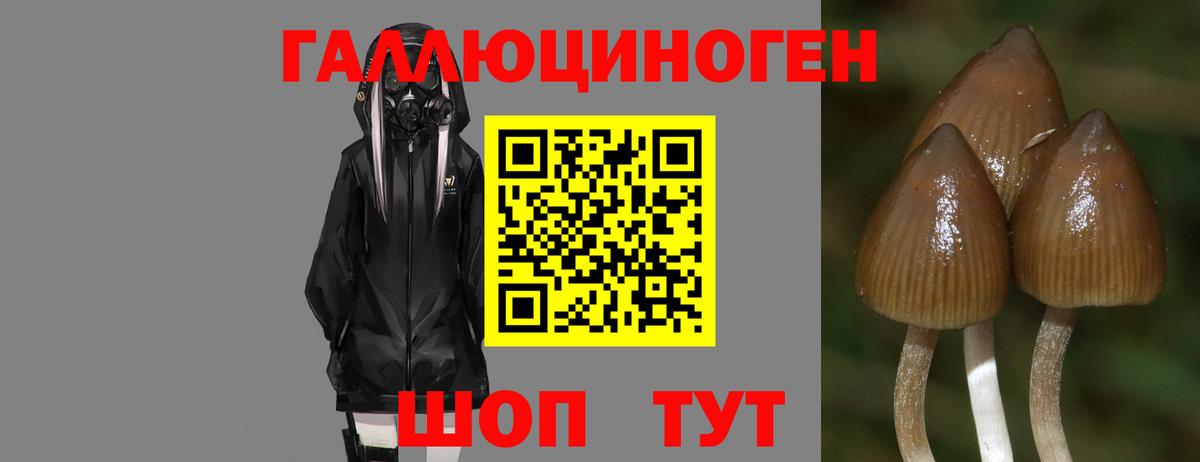 Галлюциногенные грибы Psilocybe  Вход с VPN  Киров  Псилоцибиновые грибы Cubensis 
